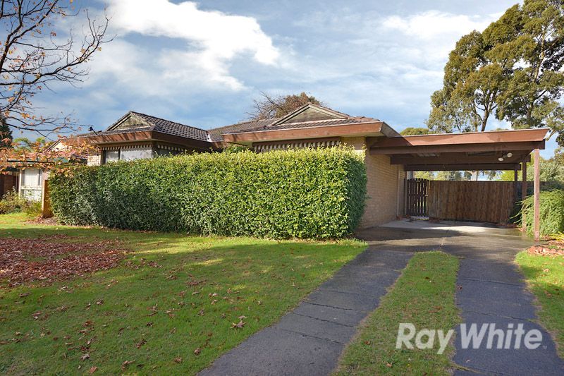 31 Shetland Drive, Wantirna Property History & Address Research Domain
