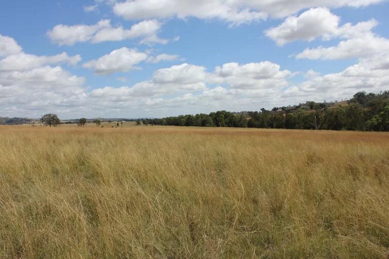 Additional image 16 of 'Fernlee' 557 Pindari Dam Rd, Ashford NSW 2361