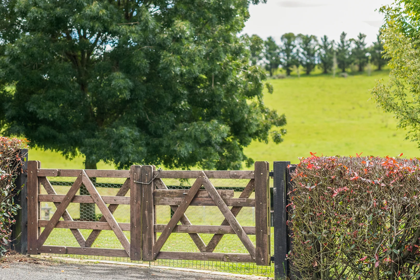 Additional image 20 of 7562 Illawarra Highway, Sutton Forest NSW 2577