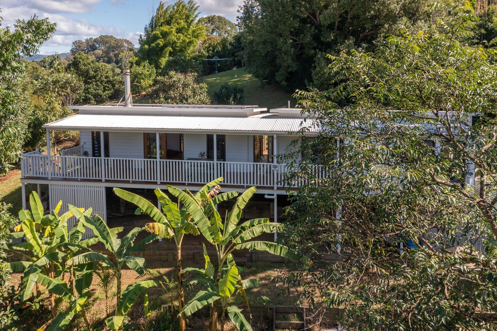 49 Jocelyn Drive, Eumundi QLD 4562 House For Rent 765 Domain