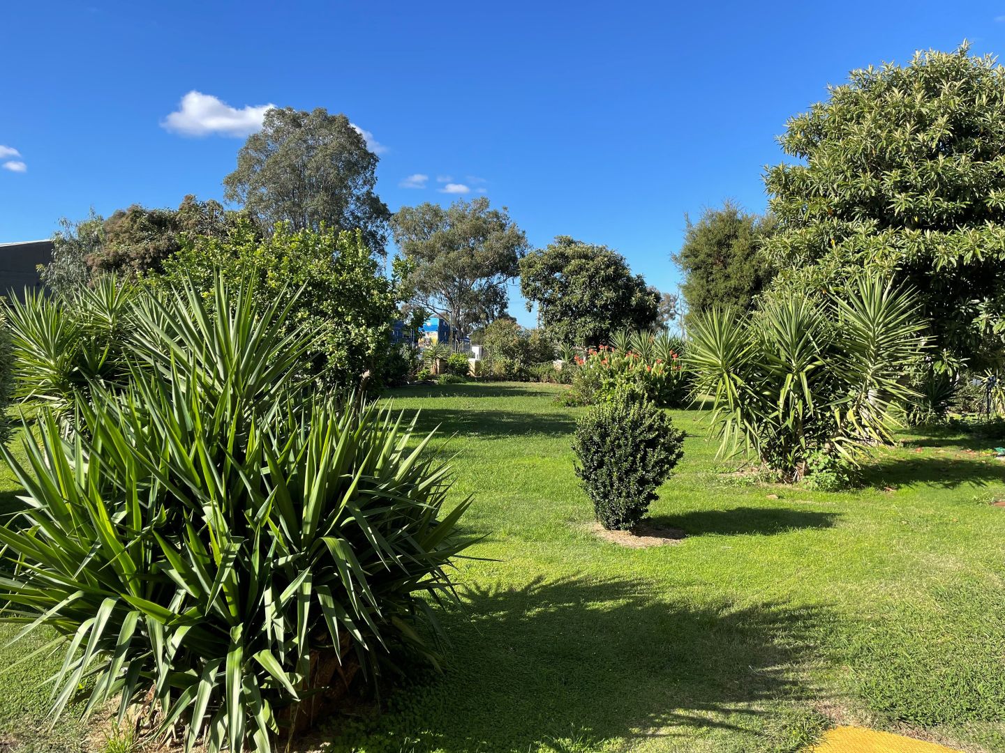 840 & 850 Toolamba Road, Toolamba VIC 3614 House for Sale Domain