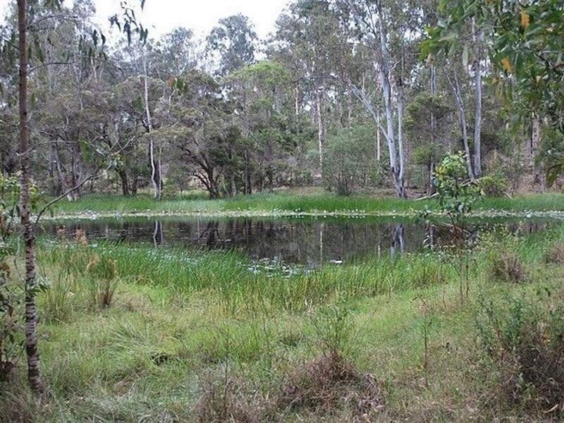 64 Gigoomgan Road, Brooweena QLD 4620, Image 2