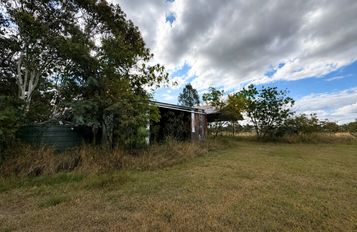 Image 14