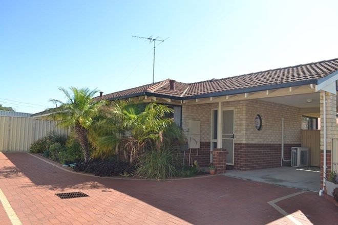 Picture of 2/7 Claughton Way, GLEN IRIS WA 6230