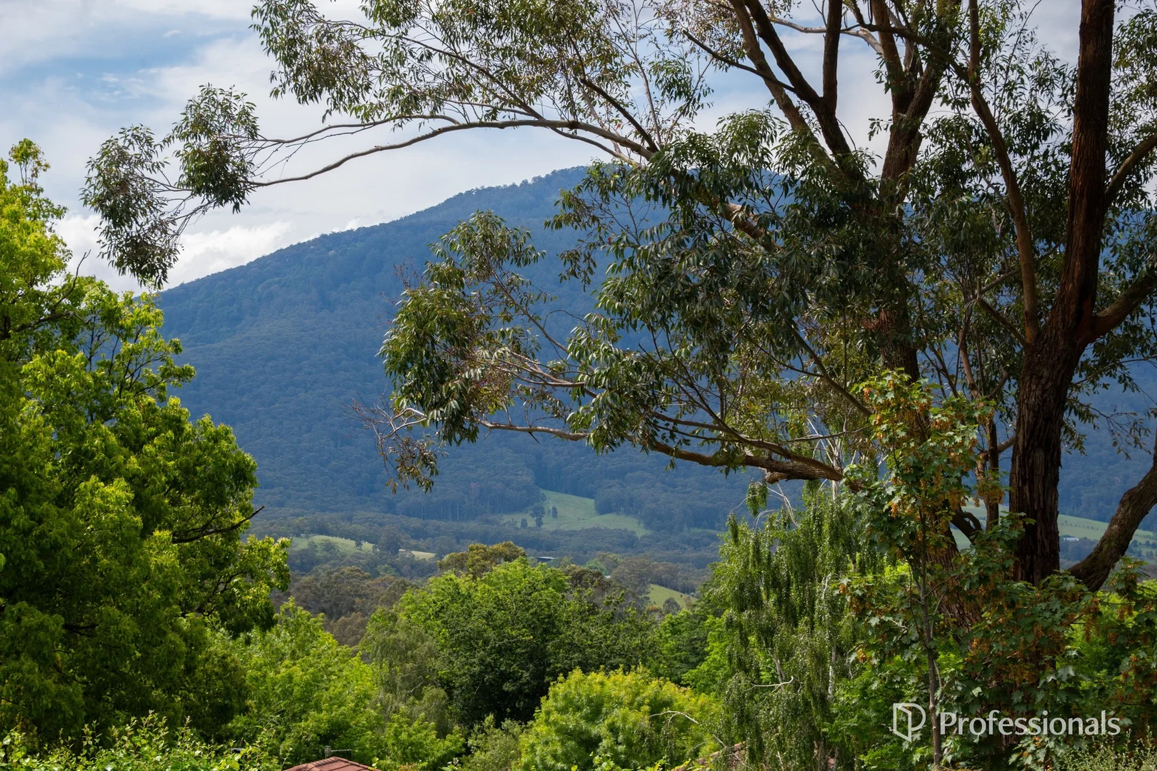 Image 14