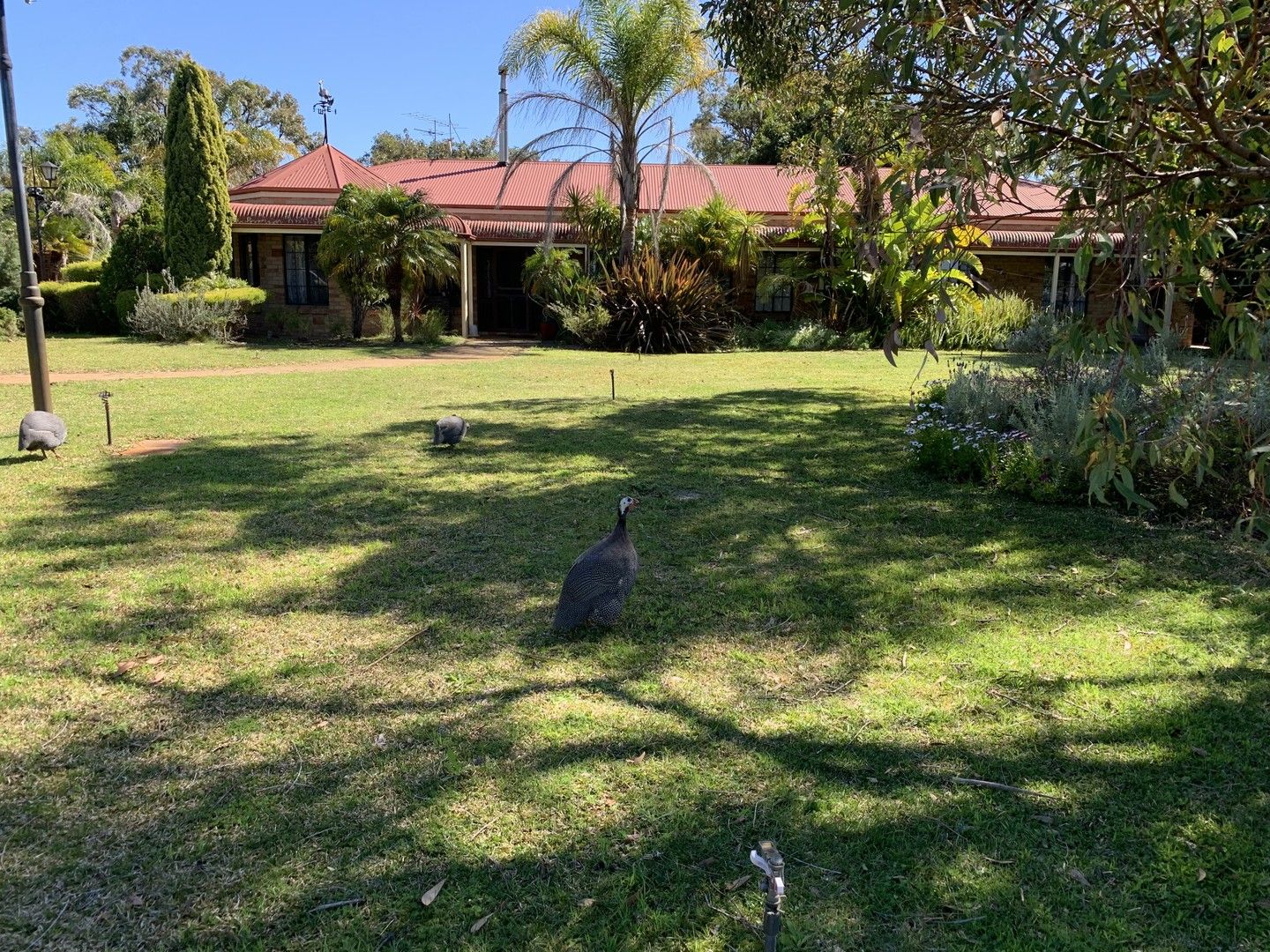 3 bedrooms Rural in 126 Smith Road UDUC WA, 6220