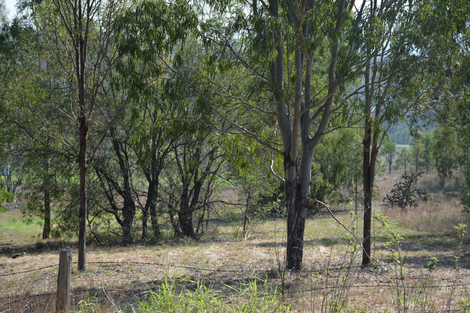 Lot 9 Long Street, Mount Perry QLD 4671, Image 2