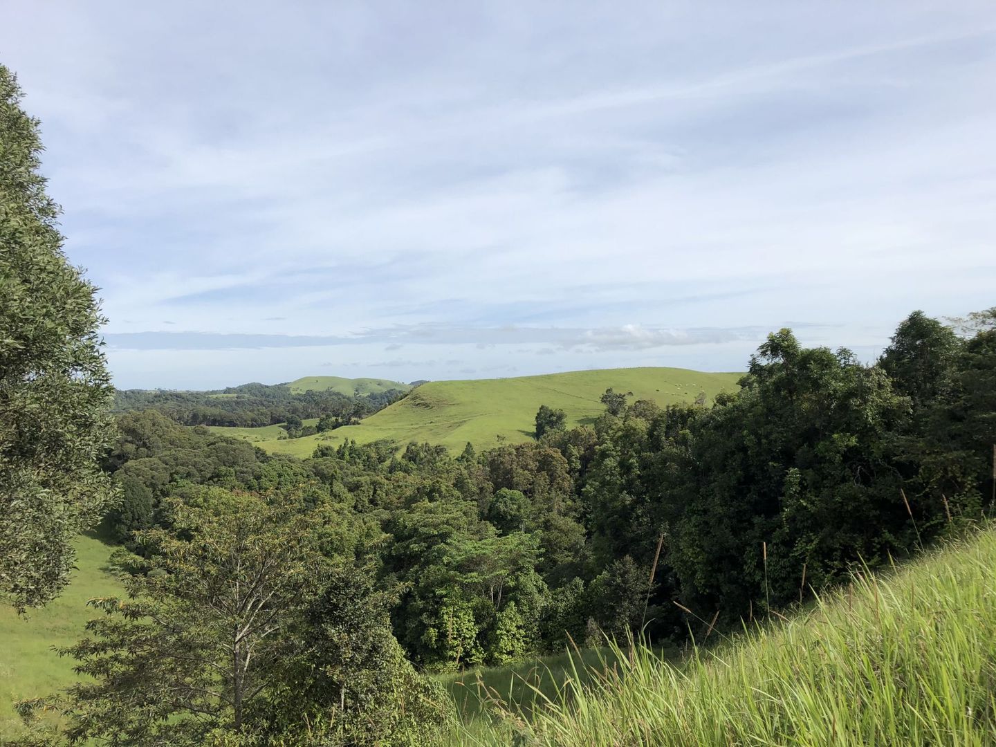 589 Theresa Creek Road, Millaa Millaa QLD 4886 House for Sale