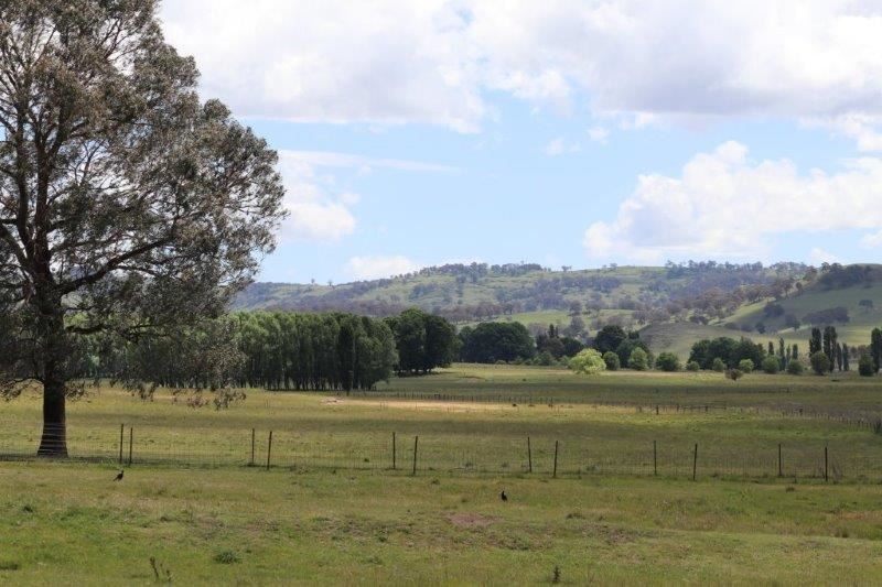 'Camlea'/3214 Mount Mitchell Road, Glencoe NSW 2365, Image 2