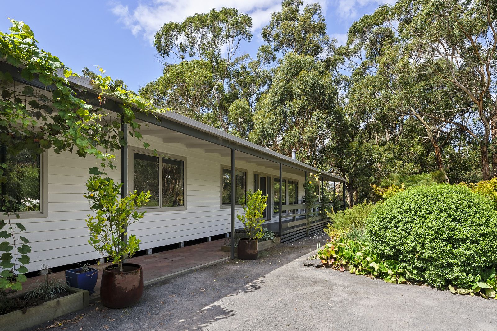 100 Bushbys Road, Barongarook VIC 3249, Image 0