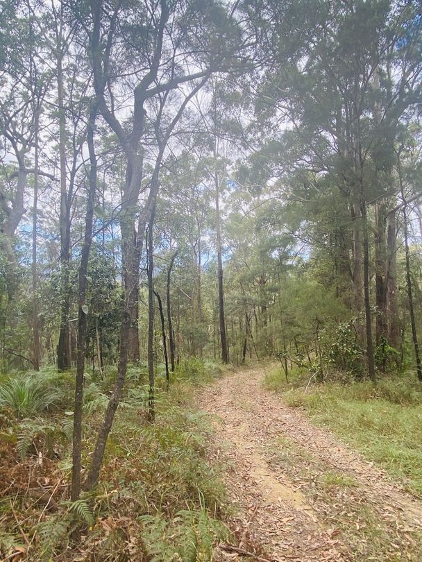 41 Kromes Road, North Arm QLD 4561 Vacant Land for Sale Domain