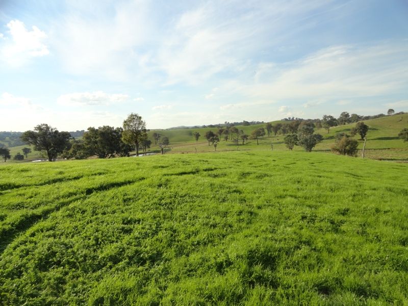 Lot 58 'Part Montrose' Hume Freeway, MULLENGANDRA NSW 2644, Image 1