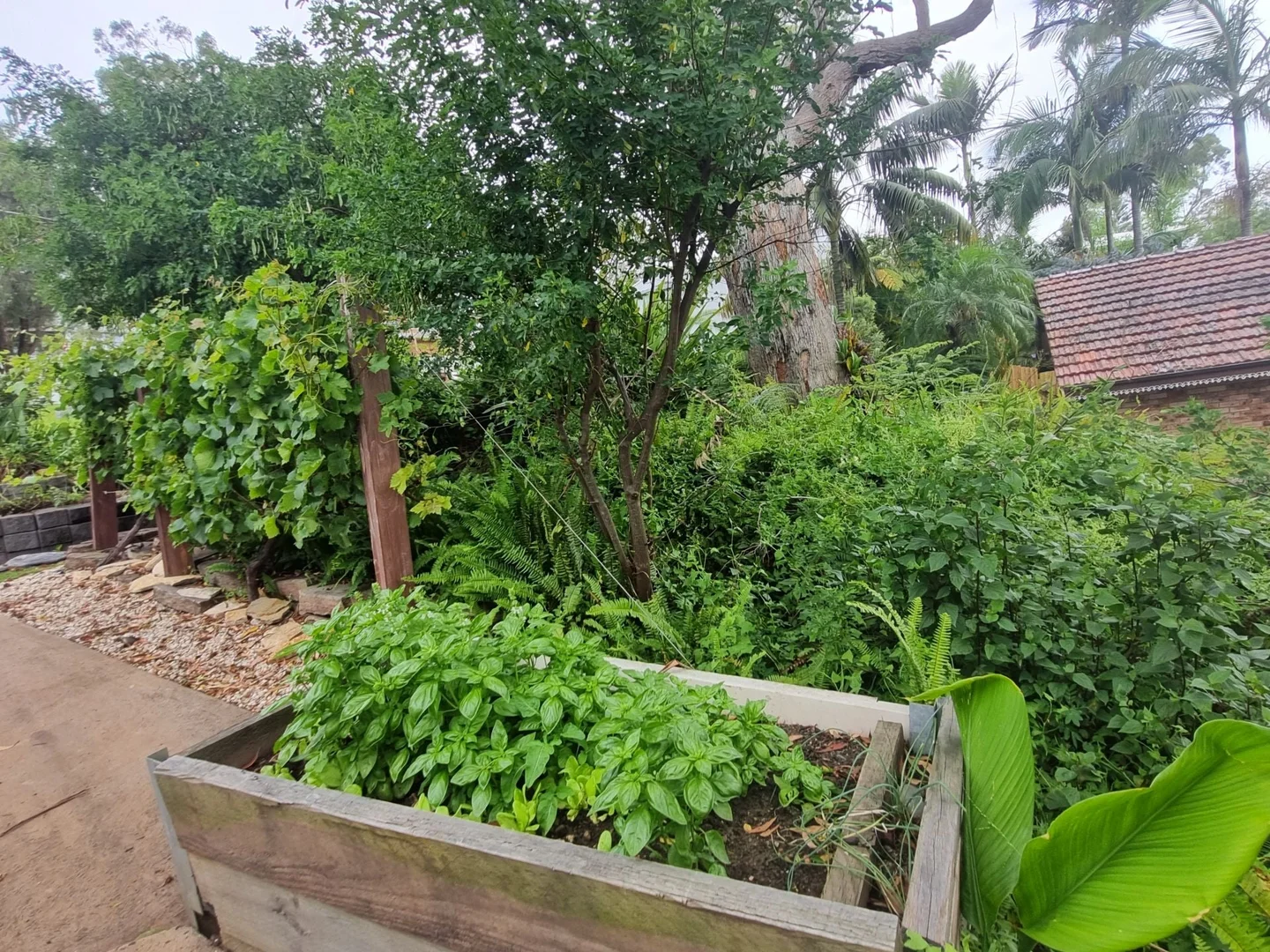 Additional image 31 of 100 Matson Crescent, Miranda NSW 2228