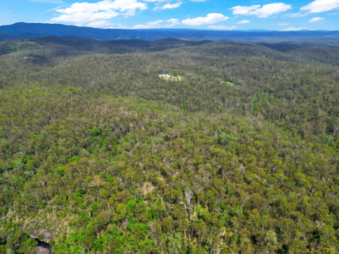 Additional image 18 of 301 Mud Flat Road, Drake NSW 2469