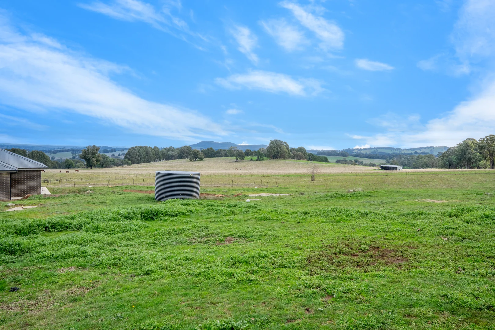 Image 36