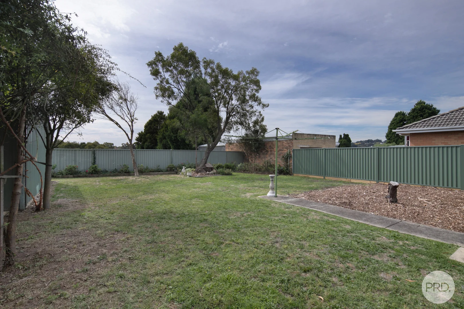 Image 15