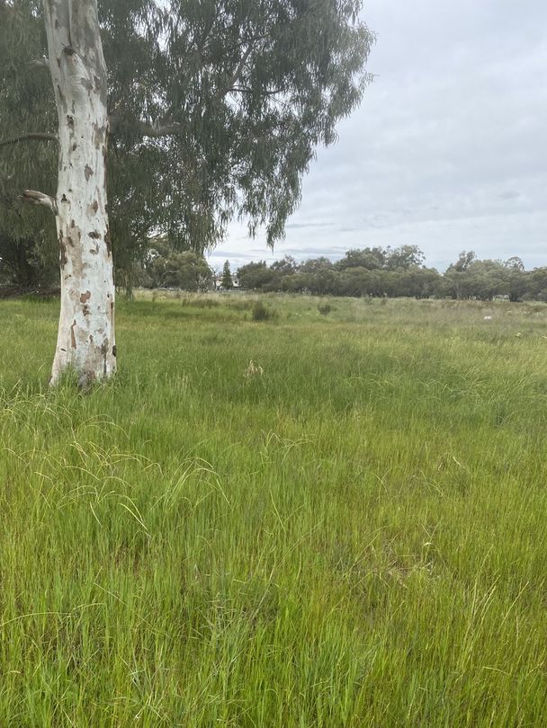 872 Rowley Road, Oakford WA 6121 Domain