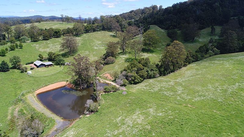 72 Briggsvale Road, Dorrigo NSW 2453, Image 0