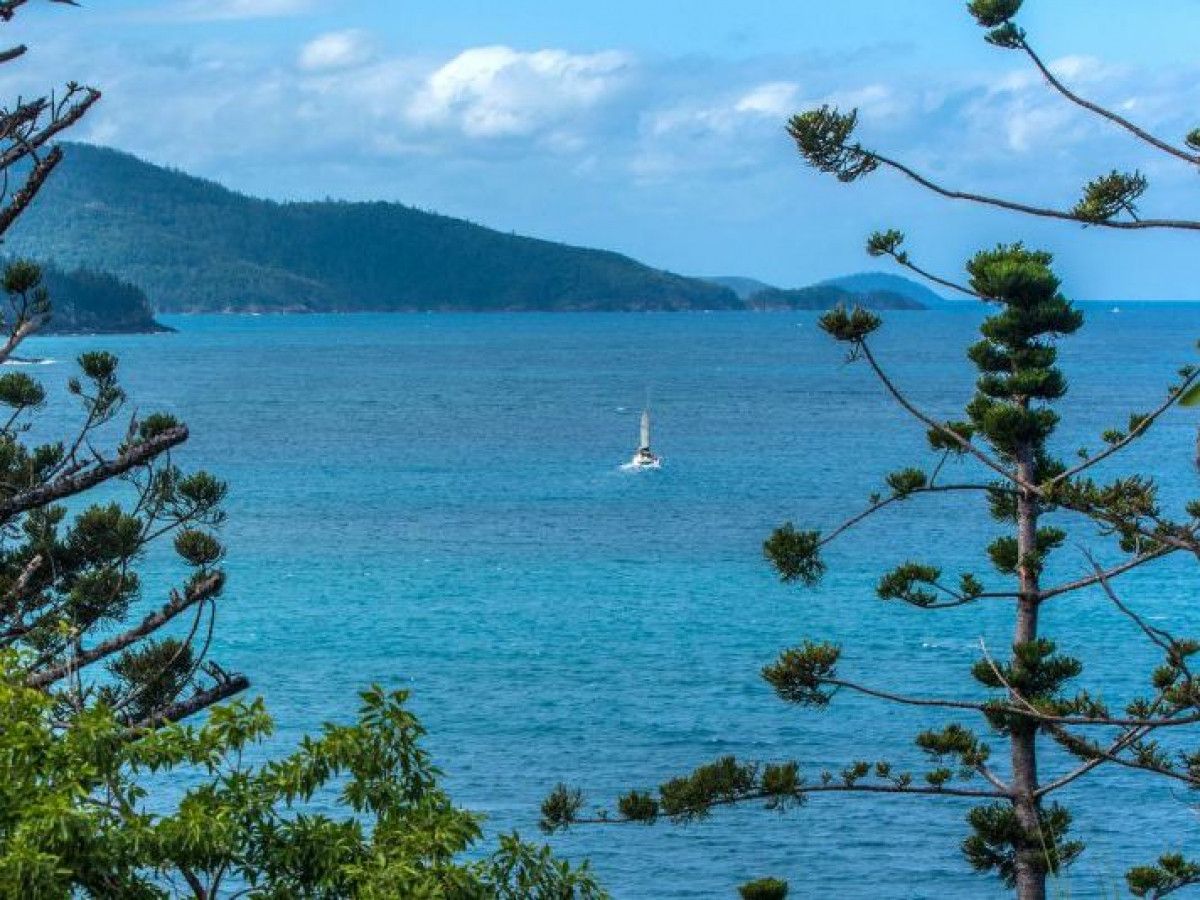 MT/4 Coral Sea Avenue, Hamilton Island QLD 4803, Image 0