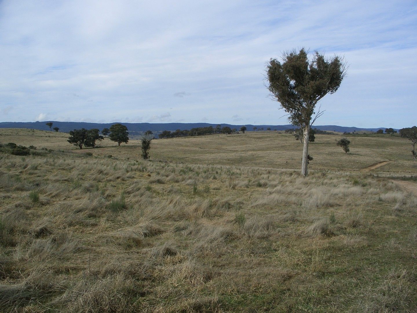 Bathurst NSW 2795, Image 0