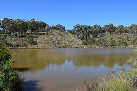 390 Johnson Road, Yass River NSW 2582, Image 1