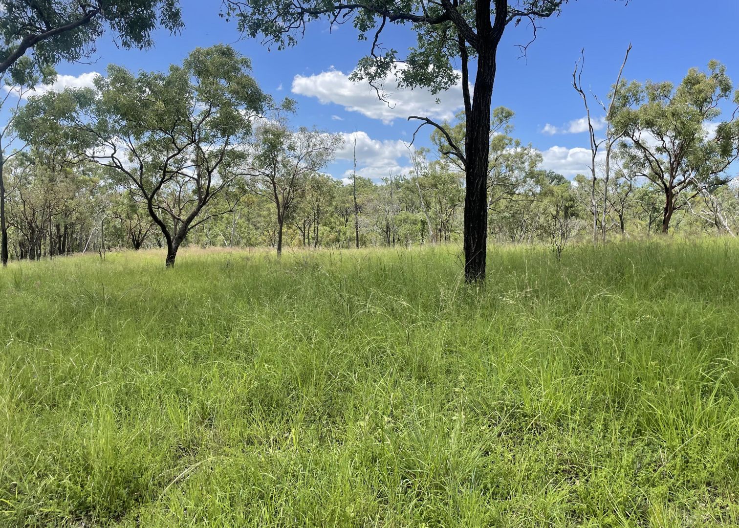 L52 Campbell Creek Road, Campbell Creek, Gayndah QLD 4625, Image 2