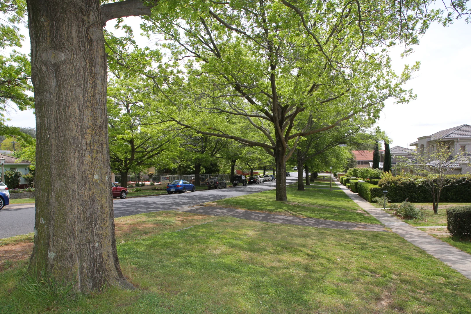 Additional image 17 of 1/4 Hutchins Street, Yarralumla ACT 2600