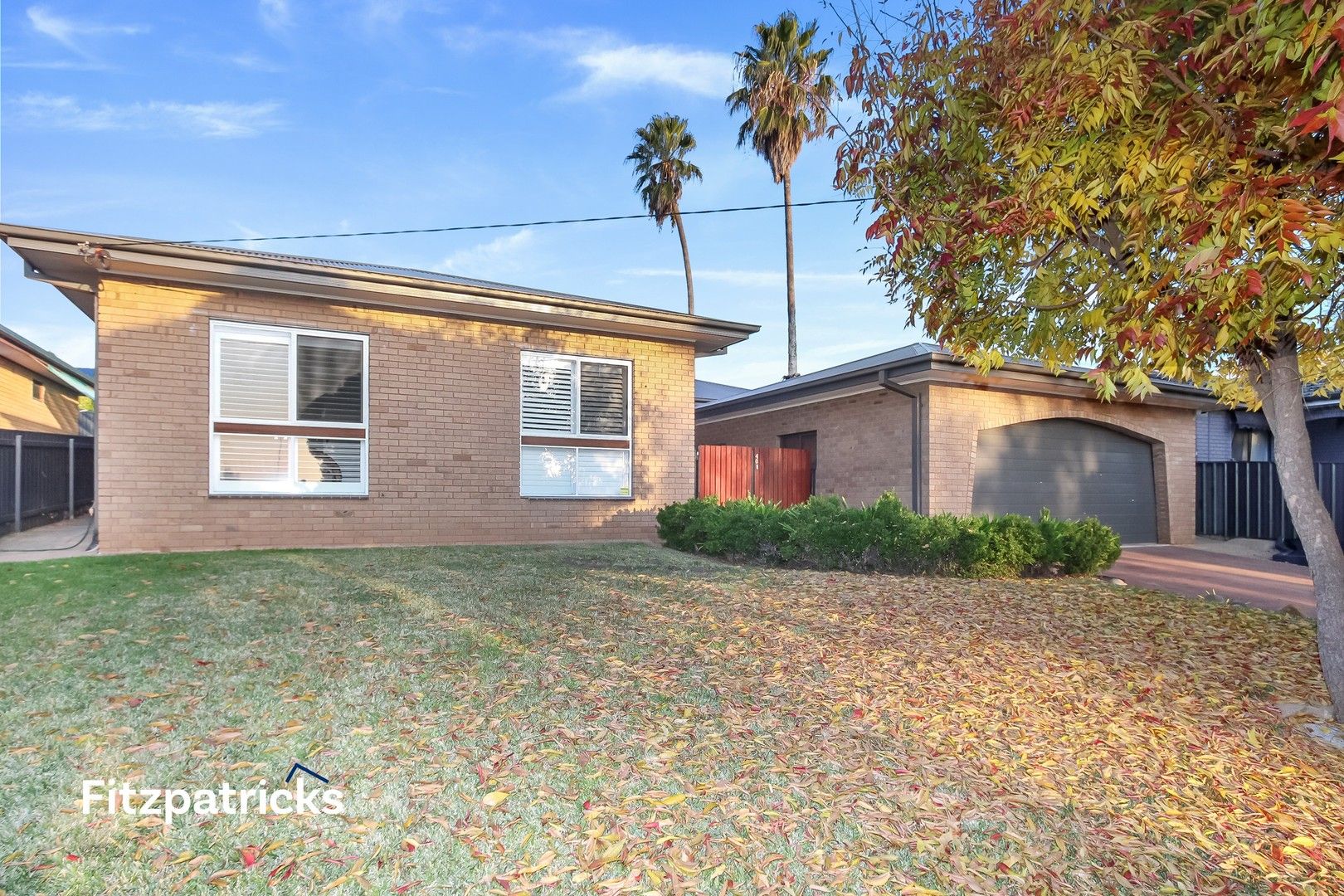 40 Cobb Street, Tolland NSW 2650 House For Rent Domain