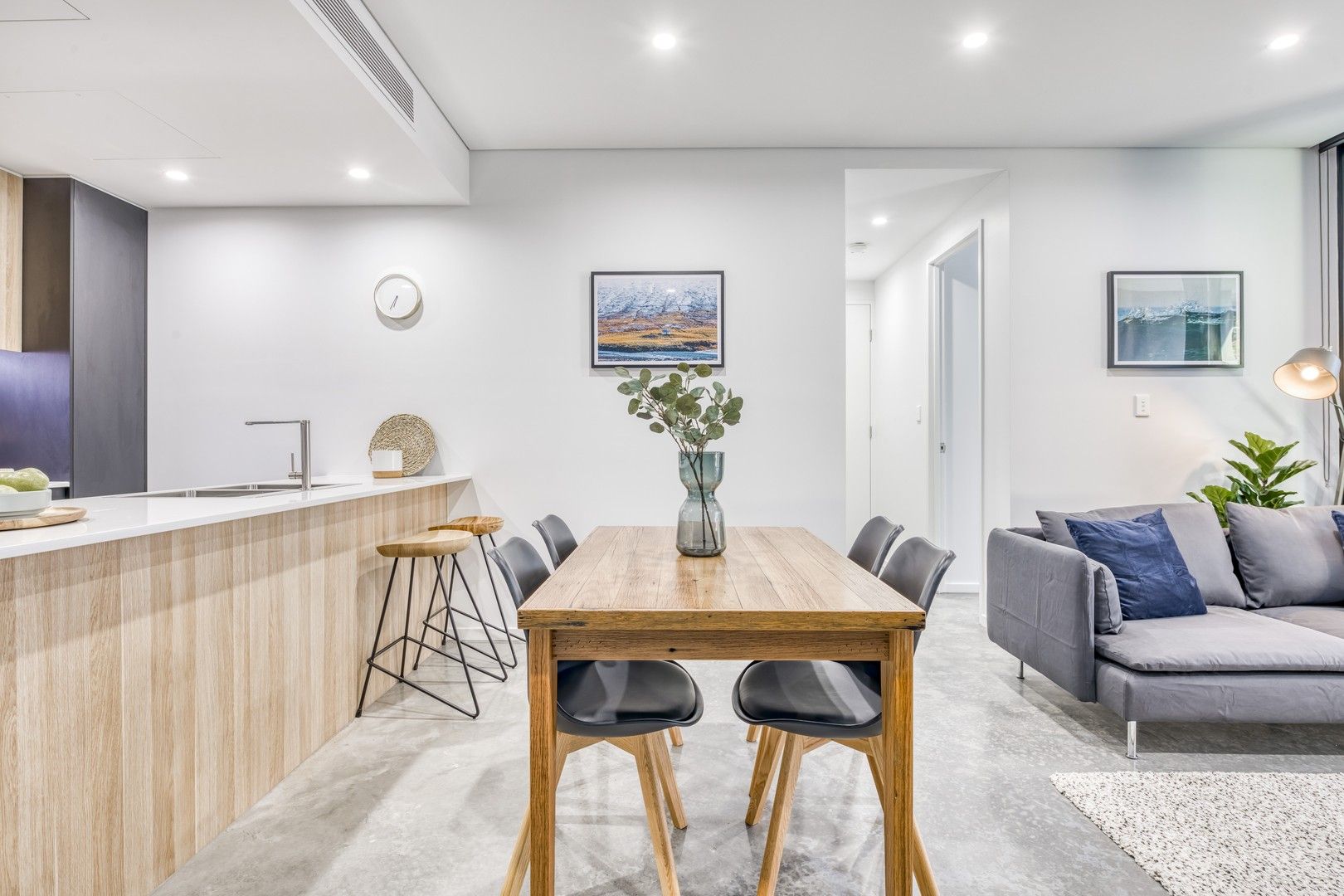 1 bedrooms Apartment / Unit / Flat in 1 Bed/29 Applebee Street ST PETERS NSW, 2044