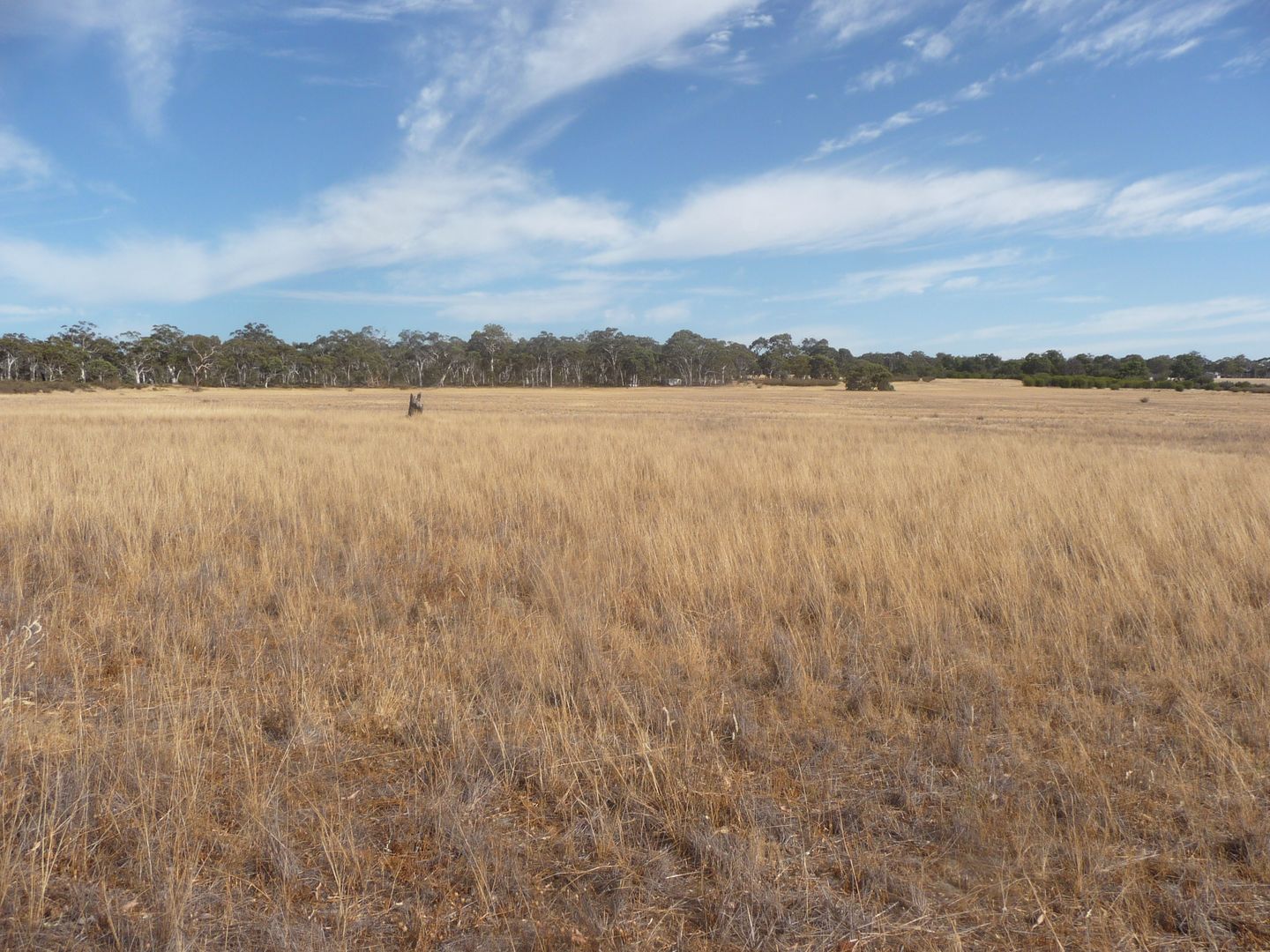 Lot 91 Kokendin Road, Talbot West WA 6302, Image 2