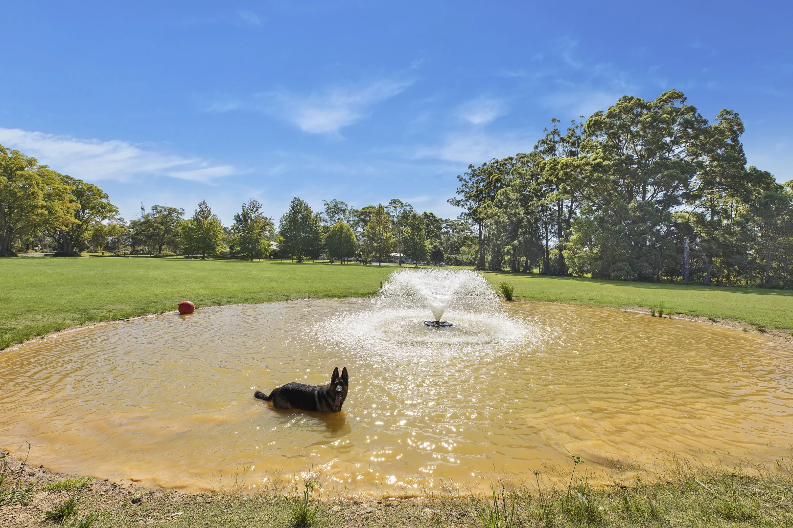 Additional image 7 of 3 Jones Road, Calga NSW 2250