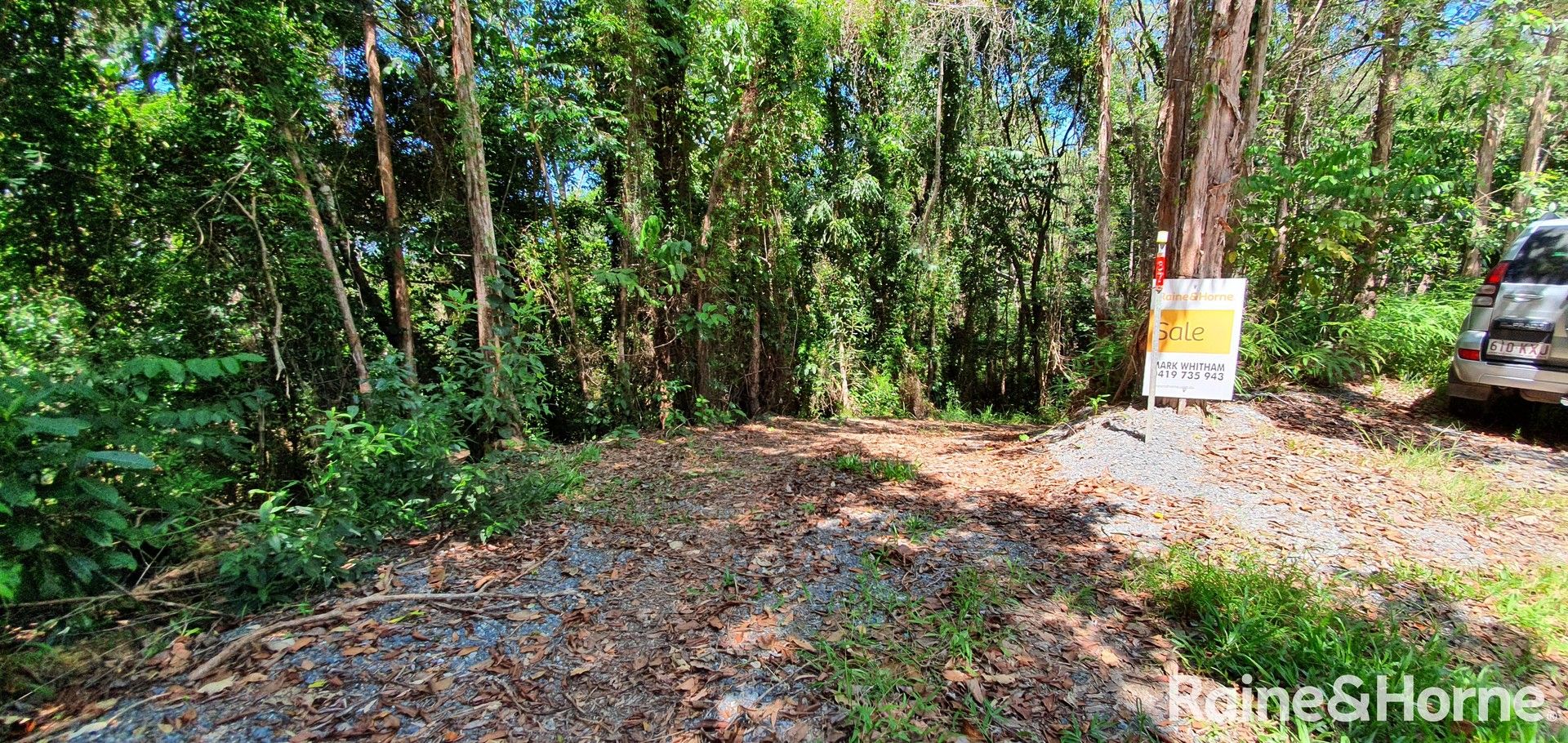 Lot 37 Ronald Road FOREST CREEK, Daintree QLD 4873, Image 0
