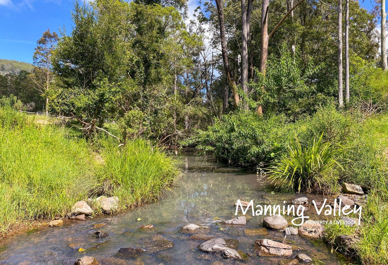 1000 Nowendoc Road, Mount NSW 2424 House for Sale Domain