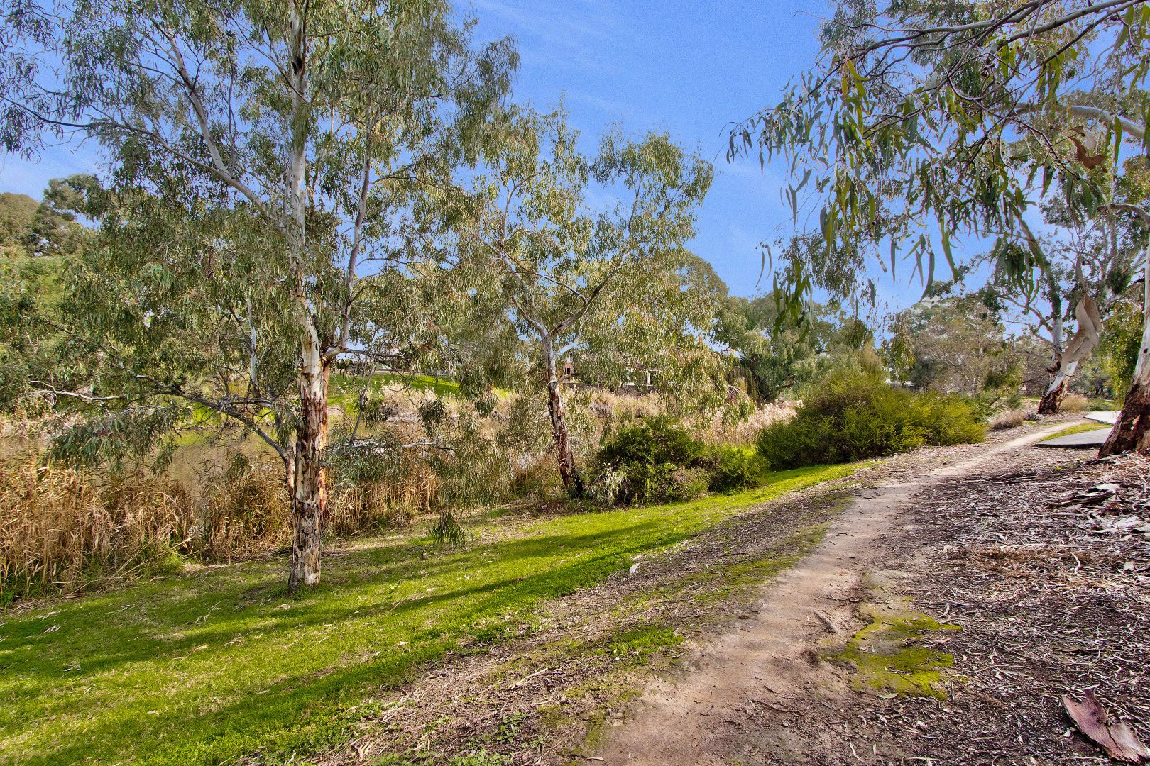 Lot 52, 8 Lasscock Avenue, Lockleys SA 5032, Image 1