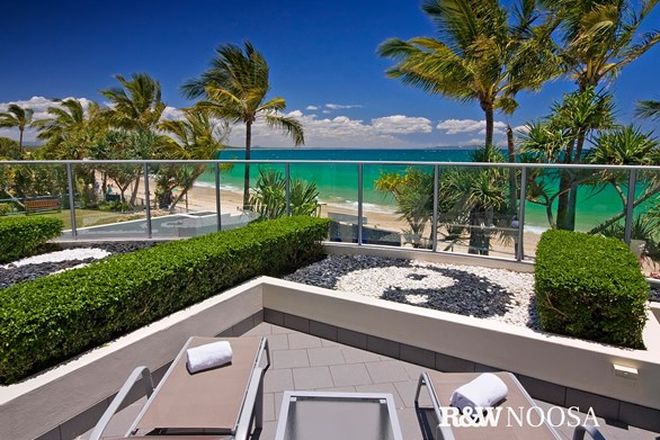 74, 1 Bedroom Apartments for Sale in Sunshine Coast, QLD ...