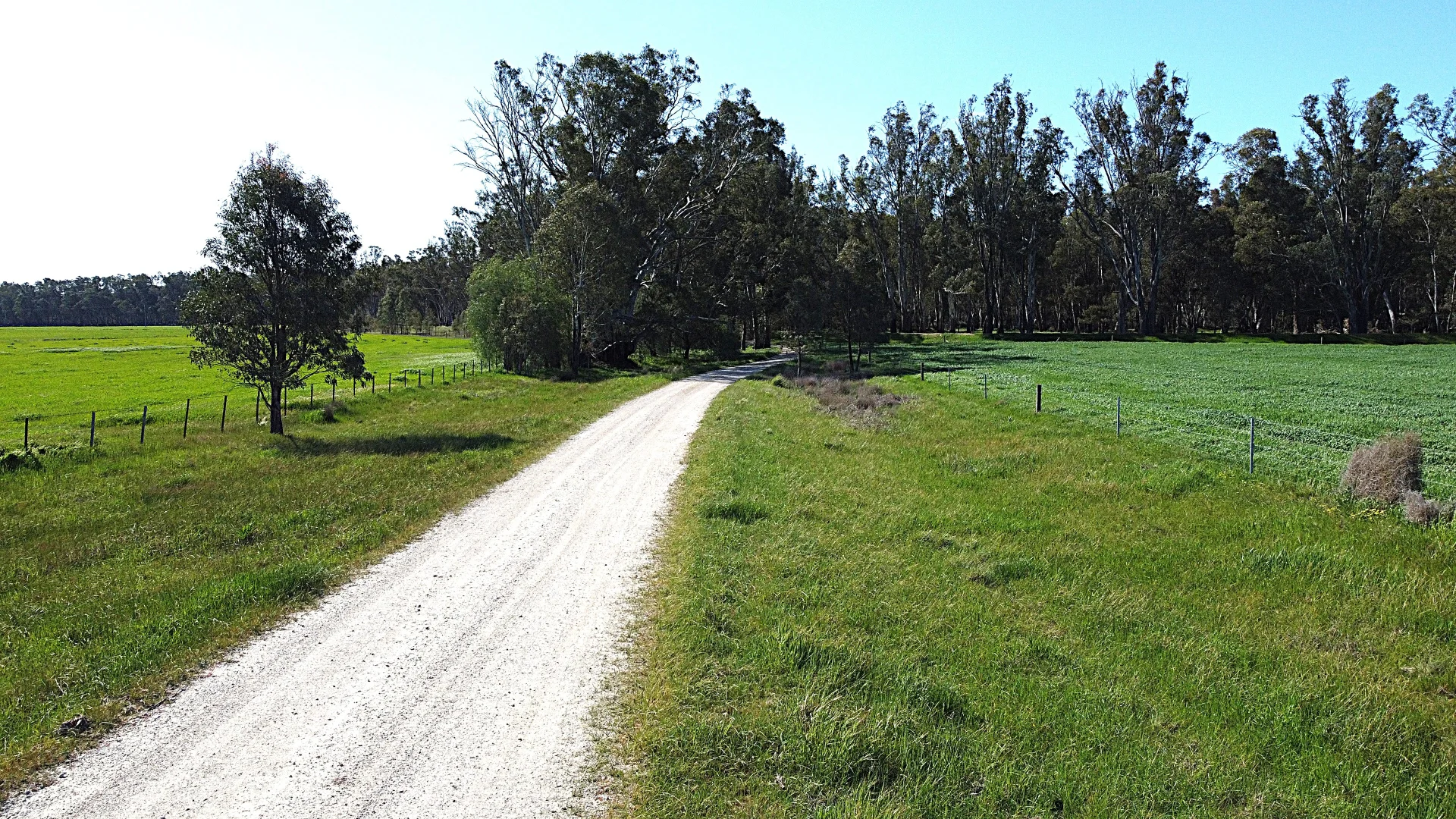 Image 13