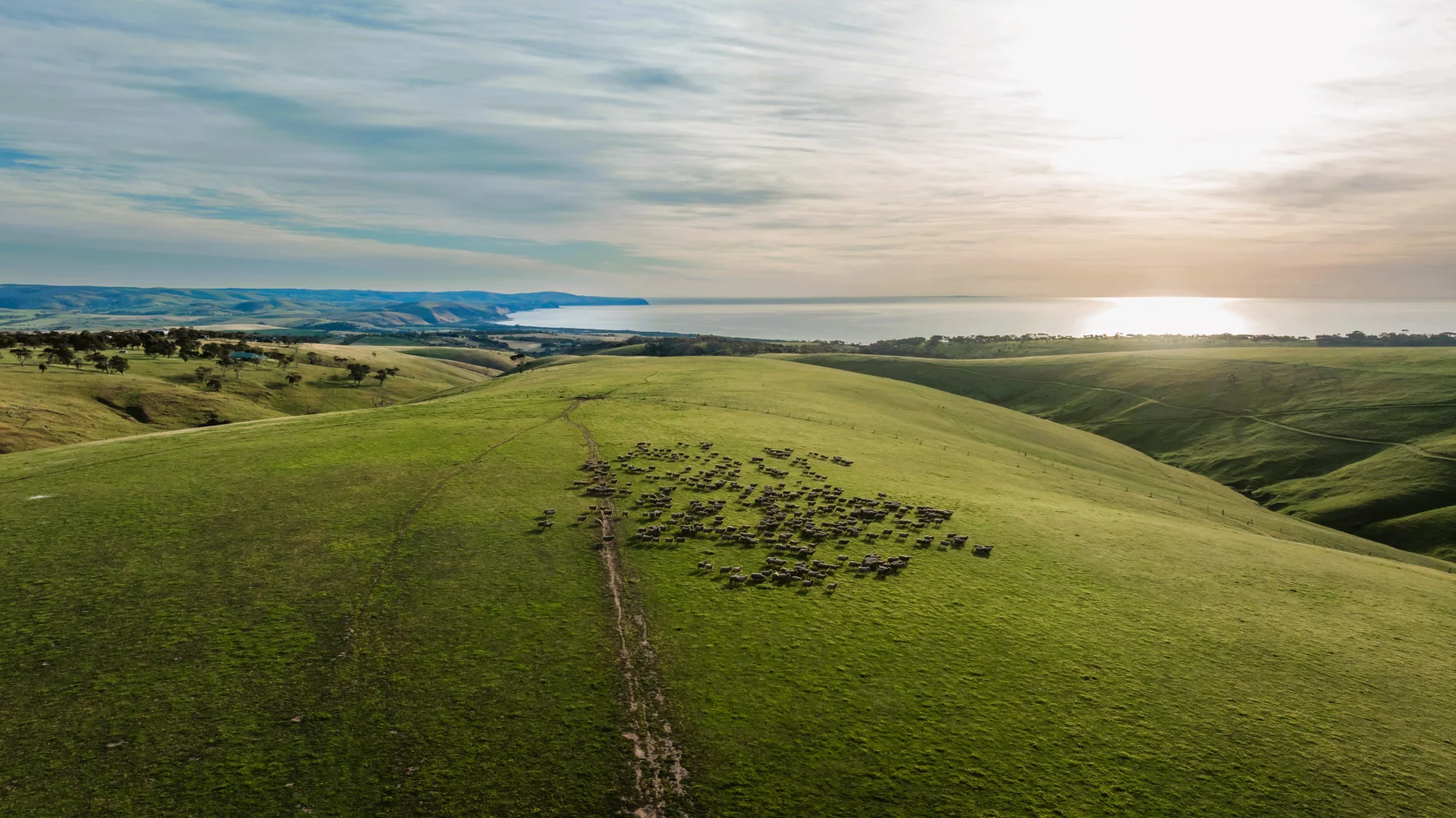 Additional image 5 of Lot 51 Smith Hill Road, Carrickalinga SA 5204