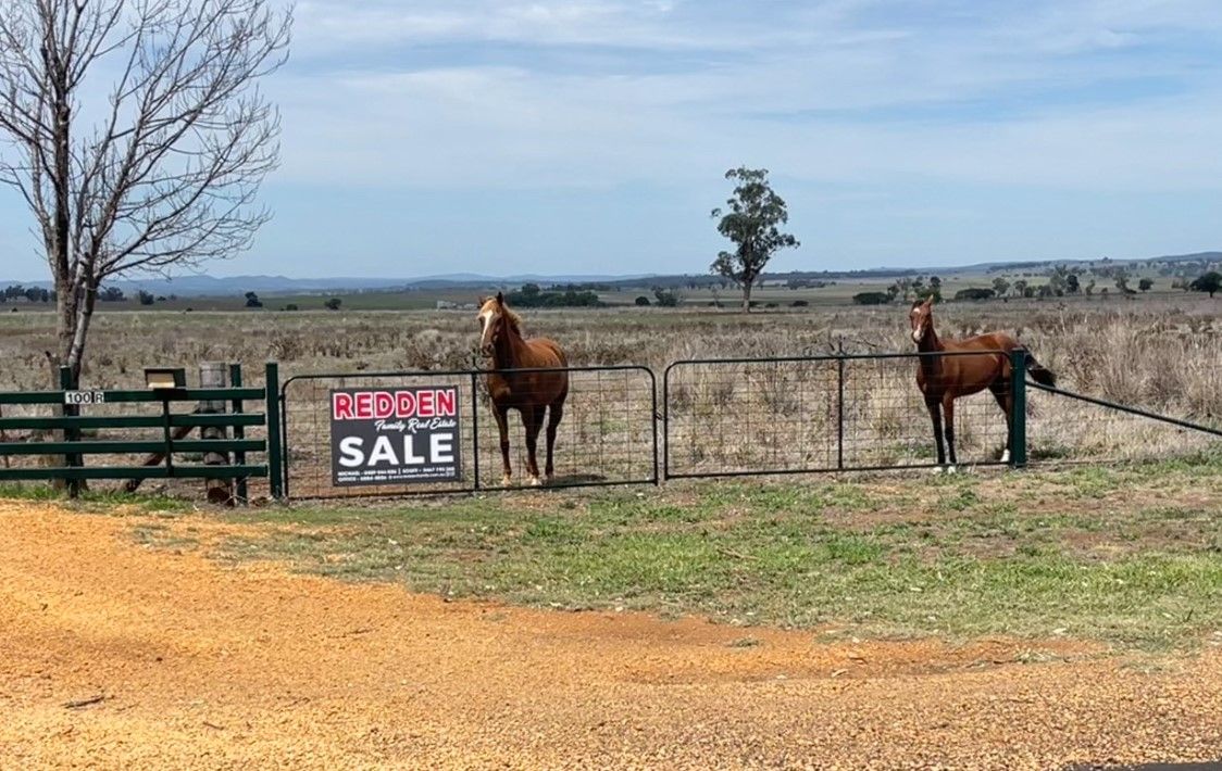 100R Old Dubbo Road, Dubbo NSW 2830, Image 2