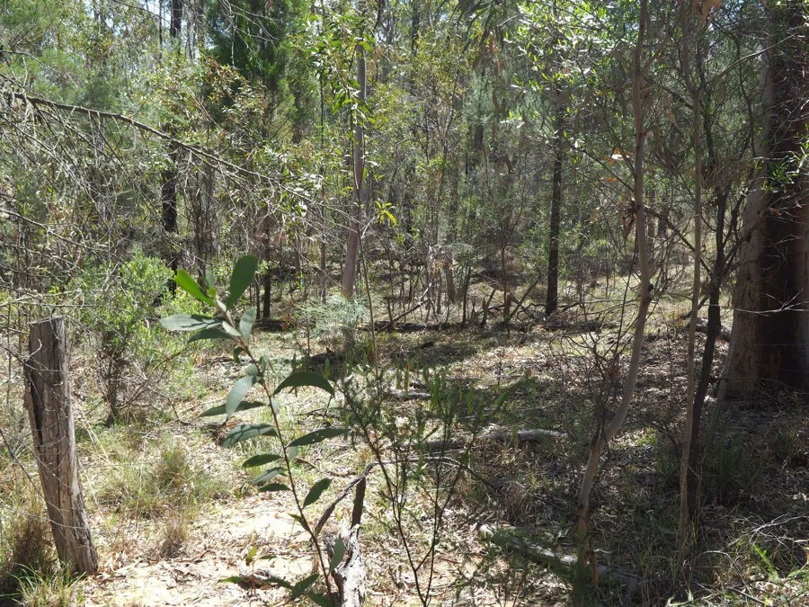 Image 10
