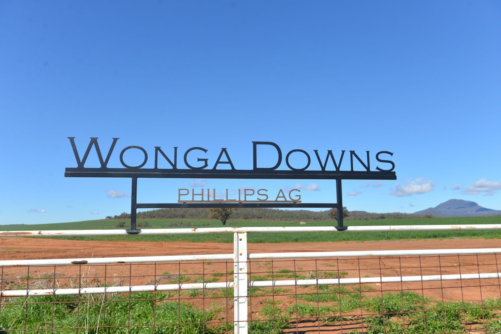 "Wonga Downs" 1222 Spooners Gap Rd, Bellata NSW 2397, Image 1