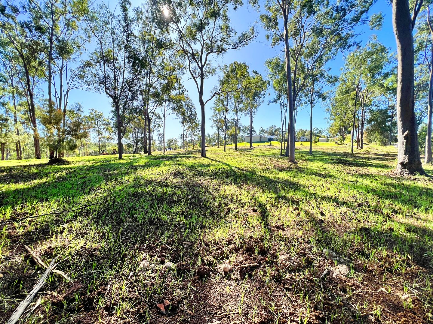 61 Breen Court, McIlwraith QLD 4671, Image 1