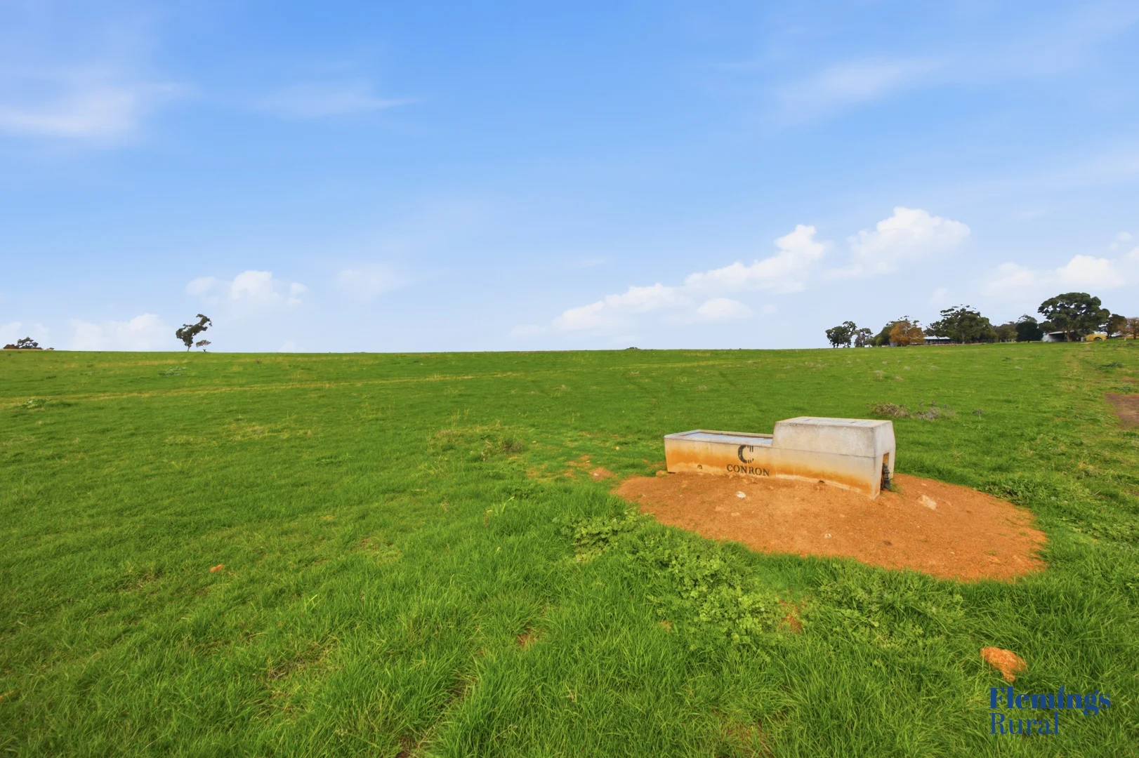 Image 32