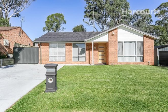 Picture of 11 Dunbar Place, MOUNT ANNAN NSW 2567