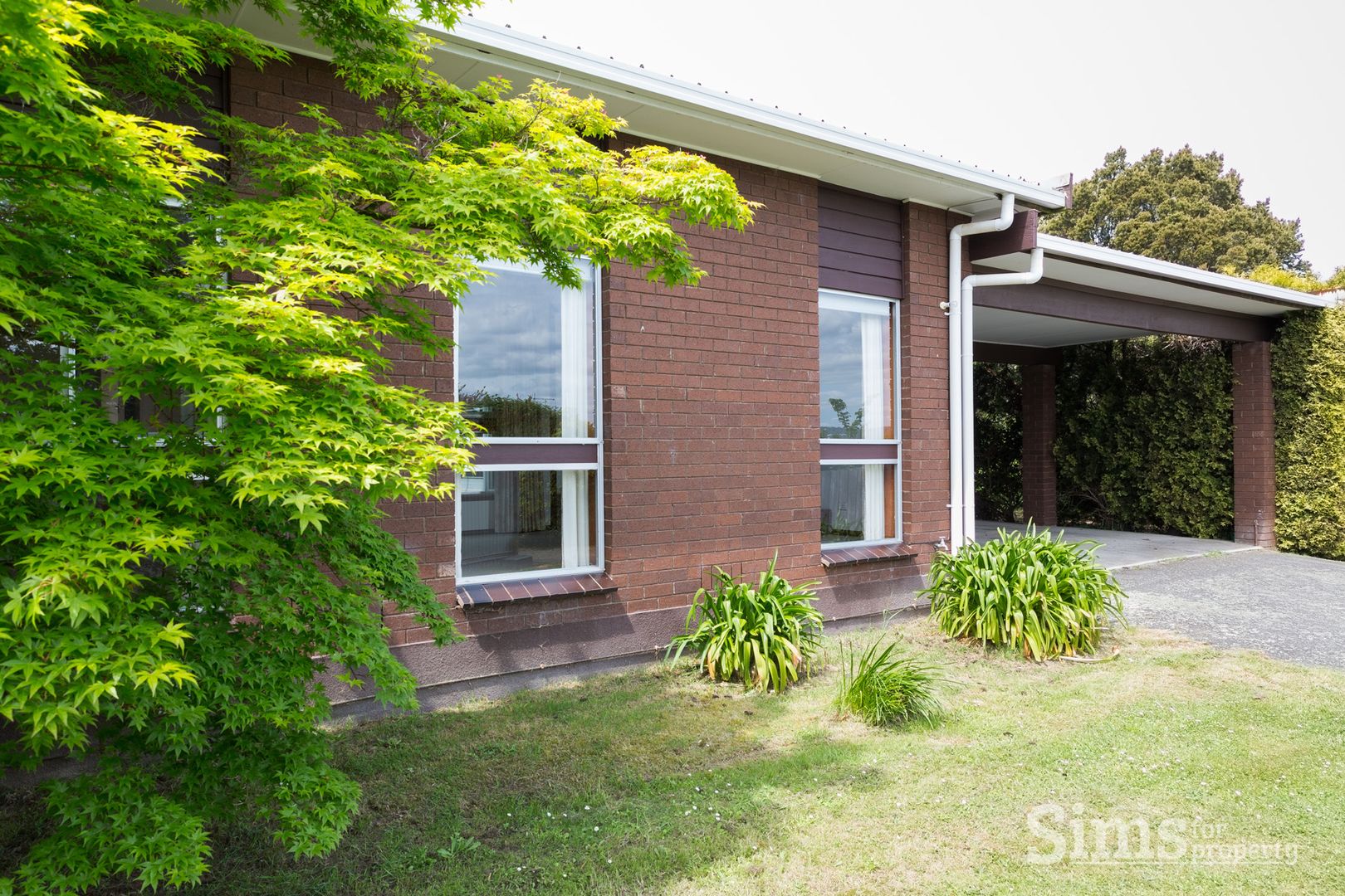 7 Teal Court, Newnham TAS 7248, Image 1