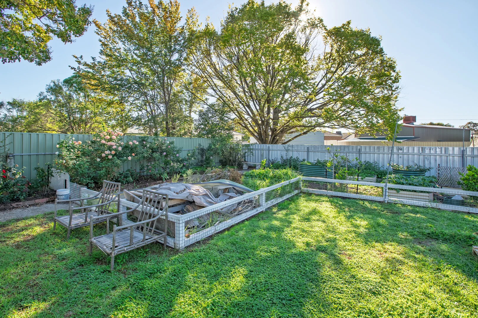 Additional image 15 of 364 Parnall Street, Lavington NSW 2641