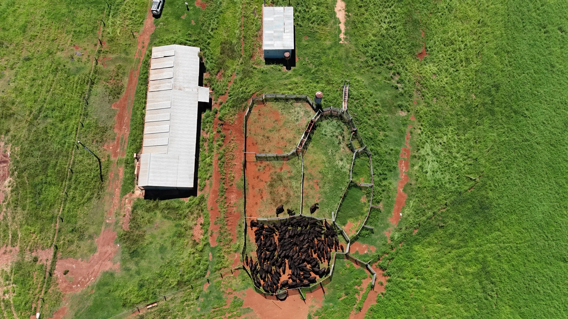 Additional image 8 of 42 Roberts Road, Speedwell, Proston QLD 4613