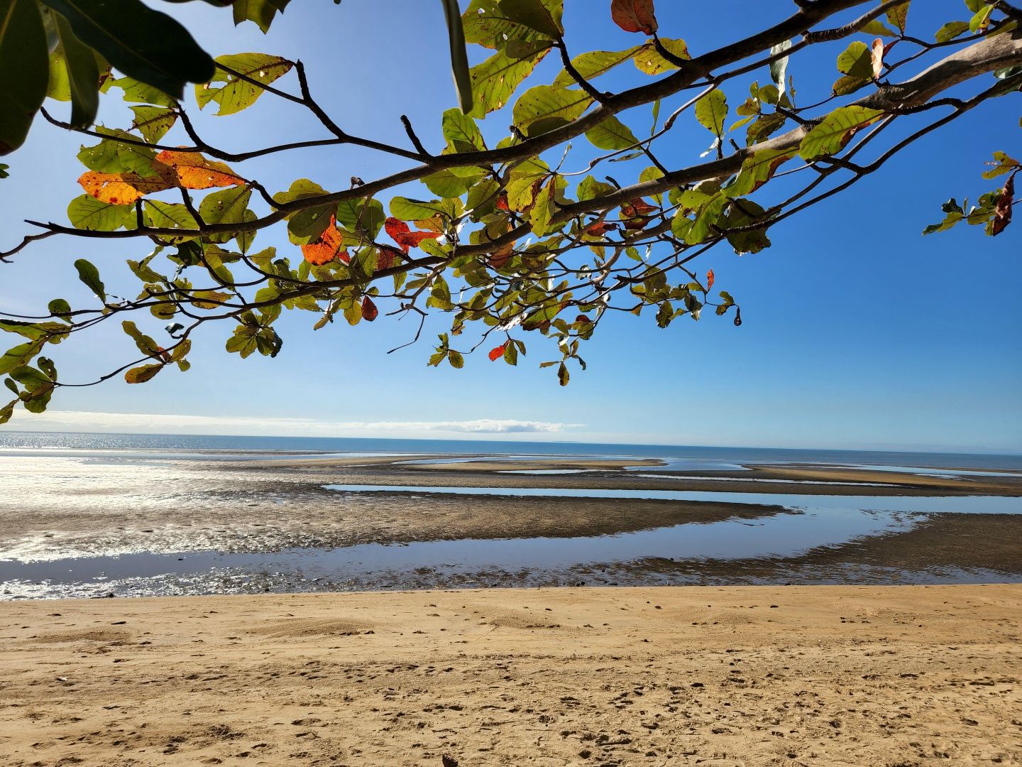 6 Janbal Street, Wonga Beach QLD 4873 House For Rent Domain