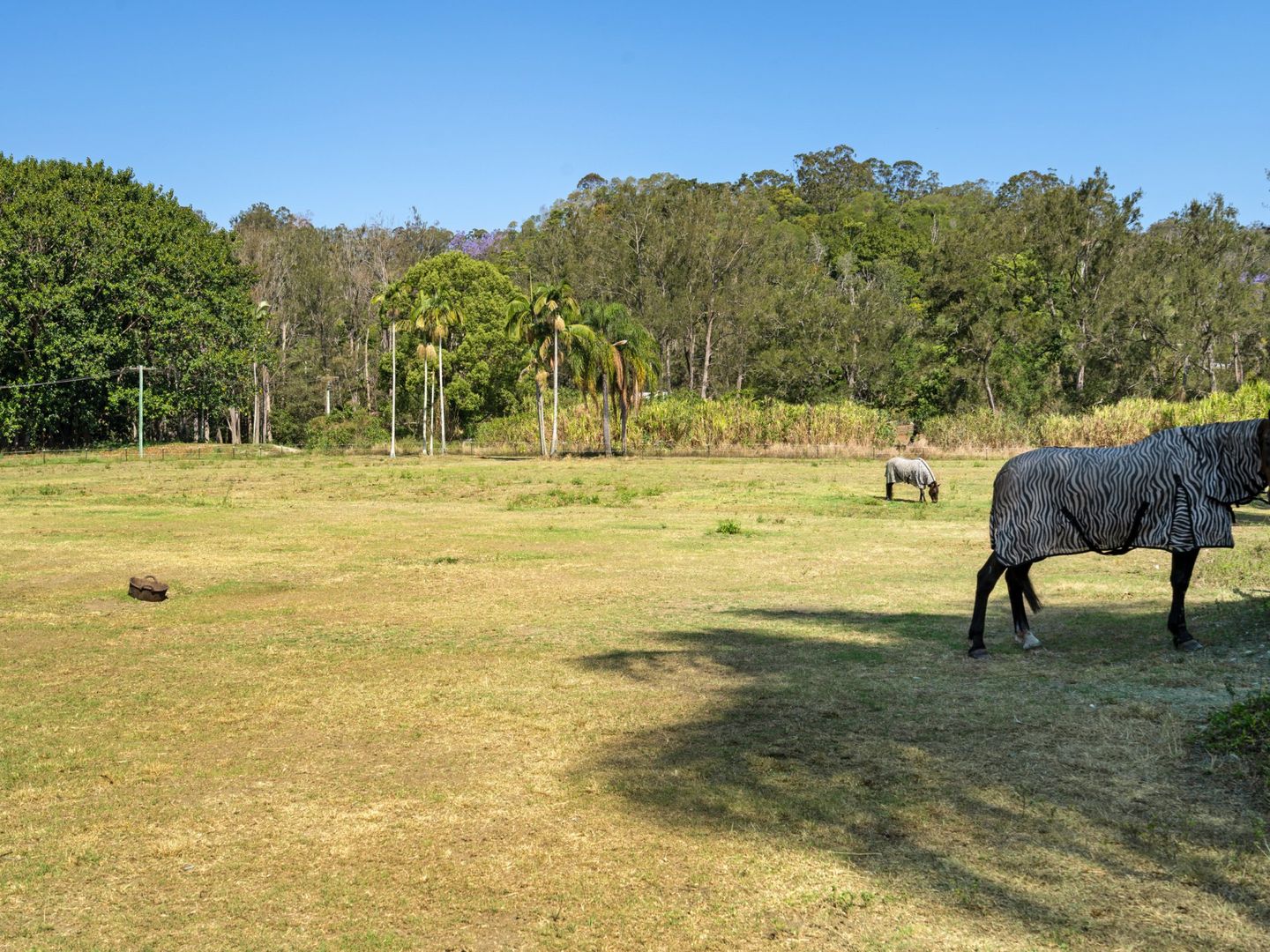 27 Mark Way, Mudgeeraba QLD 4213, Image 1