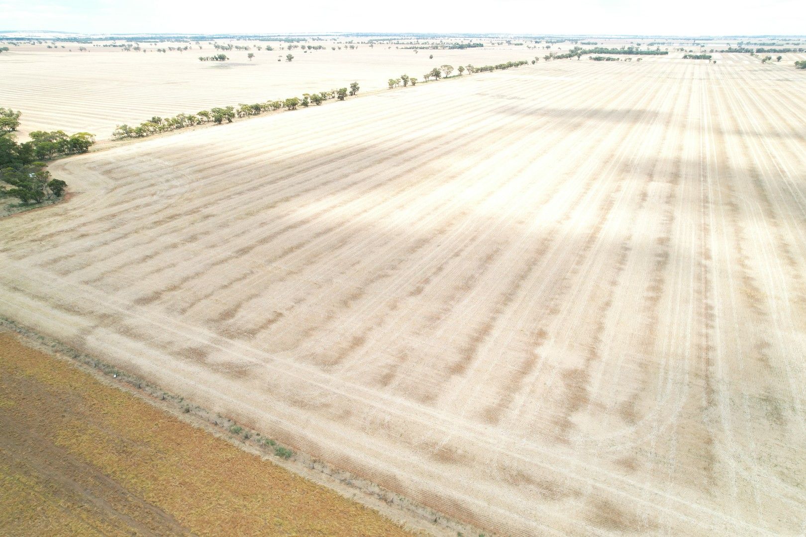 Rural in Owers Reddies Road, TEDDYWADDY WEST VIC, 3527