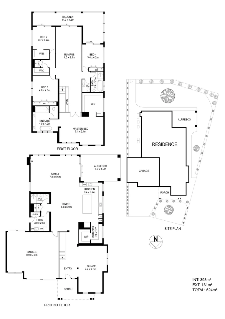 Image 21